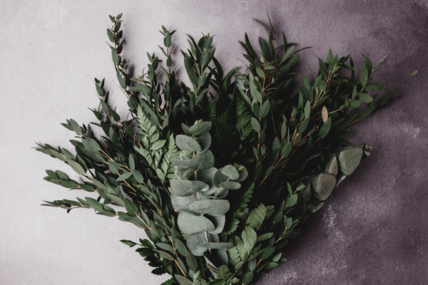 Photo by Georgia de Lotz on Unsplash